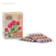 Красная щетка Экстракт 60капс Пч. и Чел
