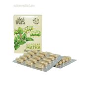 Боровая матка Экстракт 60капс Пч. и Чел
