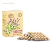 Шлемник байкальский 60 капс Пч и Чел